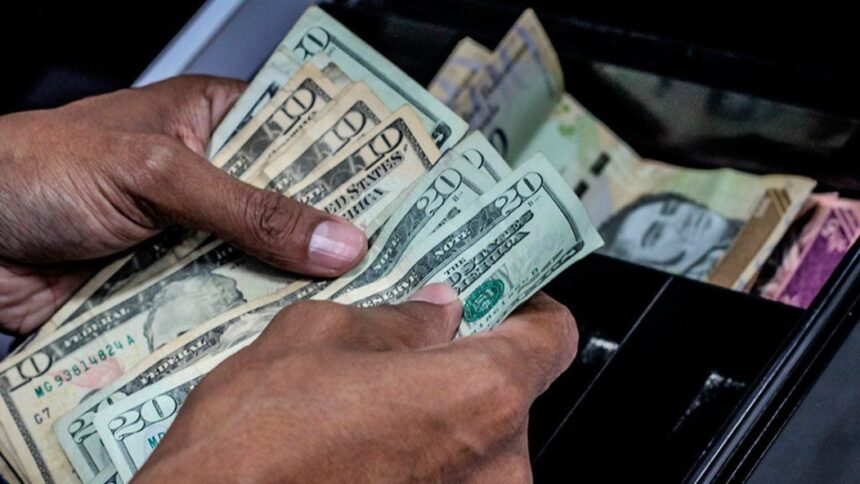 EN CAÍDA LIBRE | El bolívar perdió el 5% de su valor frente al dólar en la primera semana de 2023