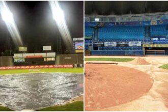 Leones y Tigres habilitan sus estadios como centros de acopio para afectados de Las Tejerías||