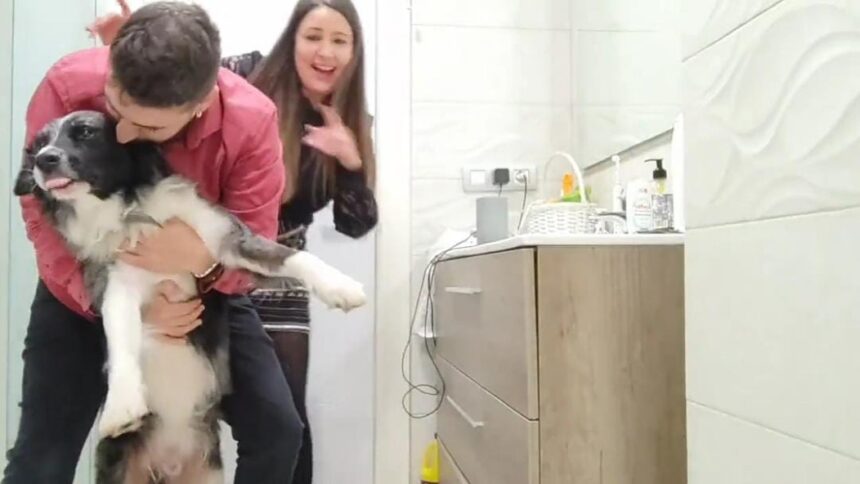 Se metieron al baño a escuchar música con su perro para distraerlo de los fuegos artificiales de año nuevo