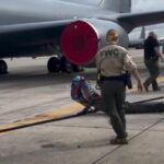 Las autoridades encontraron un caimán entre las ruedas de un avión en base militar de Florida (EEUU). El curioso hecho