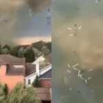 Un potente tornado arrasó con una iglesia y otras propiedades en Pennsylvania (EEUU), como consecuencia de la serie de tormentas que azotaron