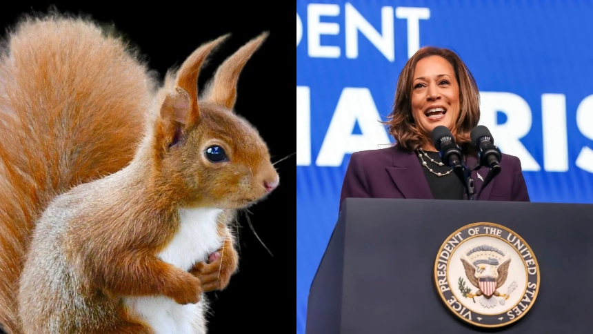 Un sorpresivo acompañante figuró este miércoles, 6 de noviembre, en el discurso de la excandidata presidencial del Partido Demócrata y actual vicepresidente de EEUU, Kamala Harris, para reconocer el triunfo del republicano y exmandatario del país Donald Trump.  