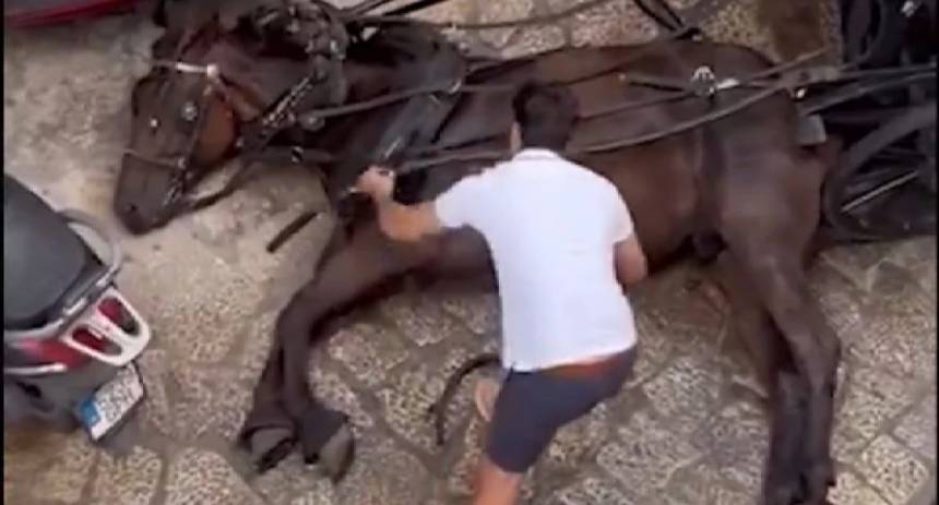 Caballo