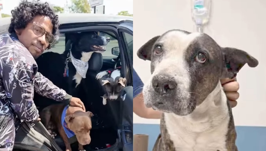 La historia de Eder Vela, un migrante mexicano deportado recientemente de Estados Unidos, se ha convertido en un testimonio conmovedor sobre la lealtad y el vínculo inquebrantable entre una persona y sus mascotas, en su caso, tres perritos.  