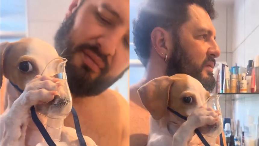 VIRAL: Perrito con asma conmueve a las redes al sostener su propio nebulizador