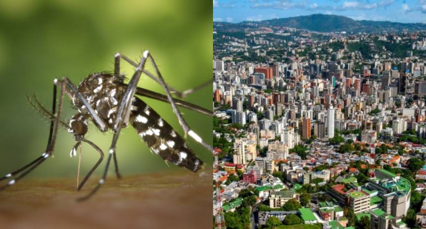 chikungunya